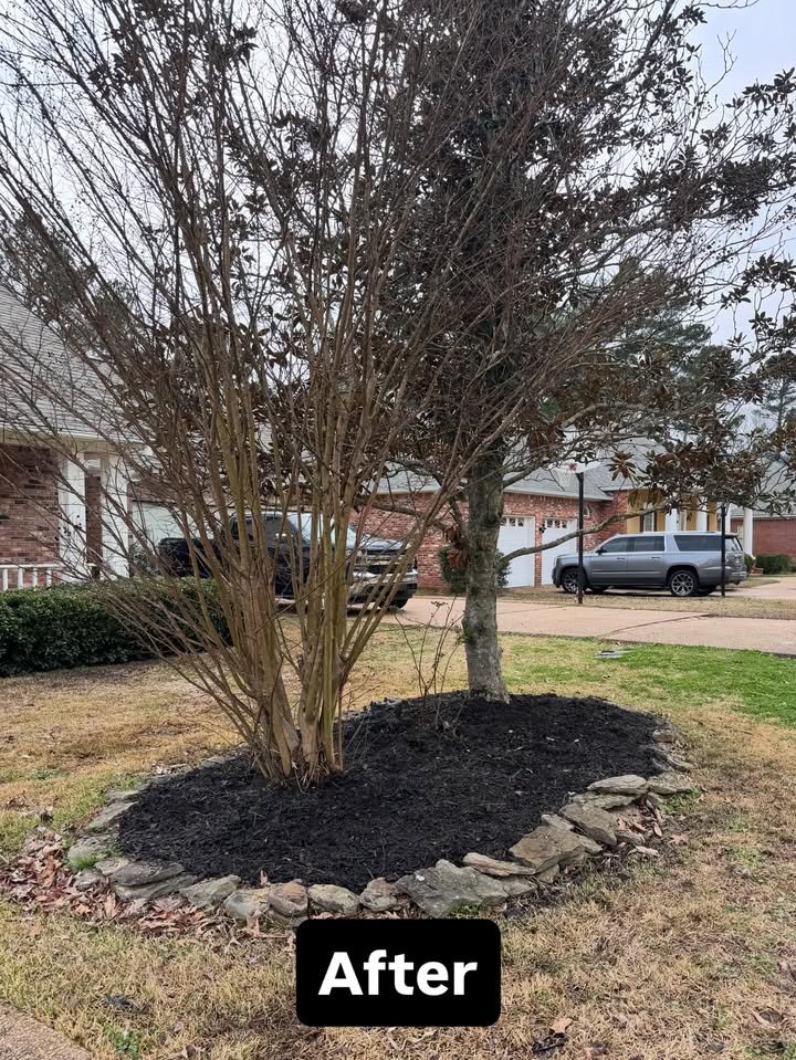 Mulch after