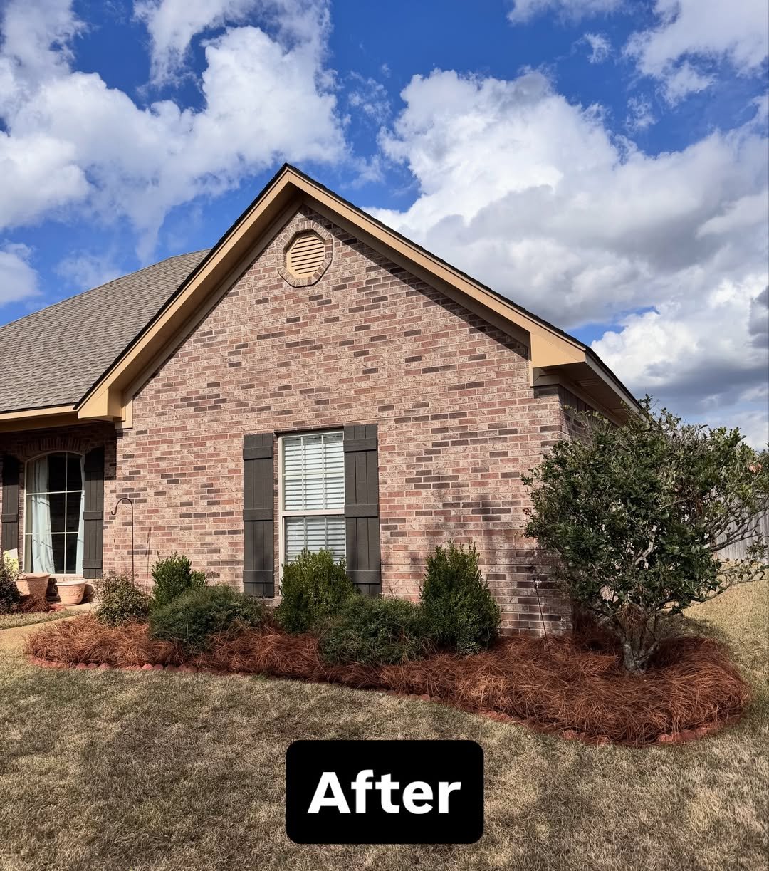 Pine straw after
