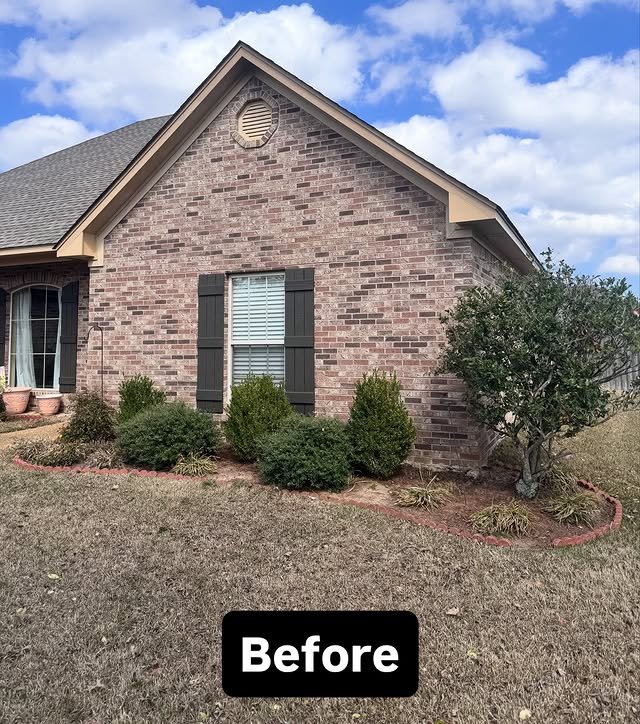 Pine straw before