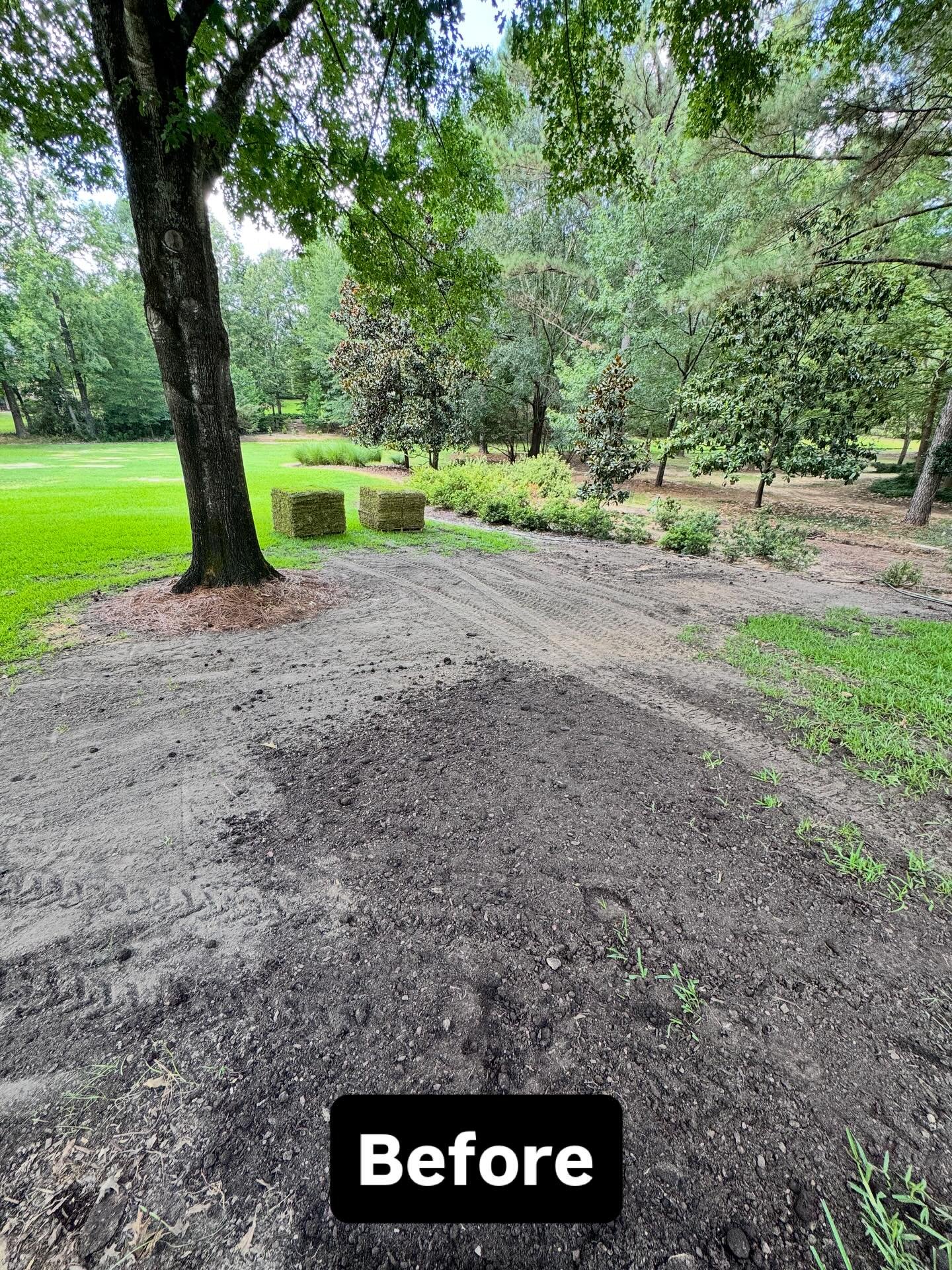 Sod before installation